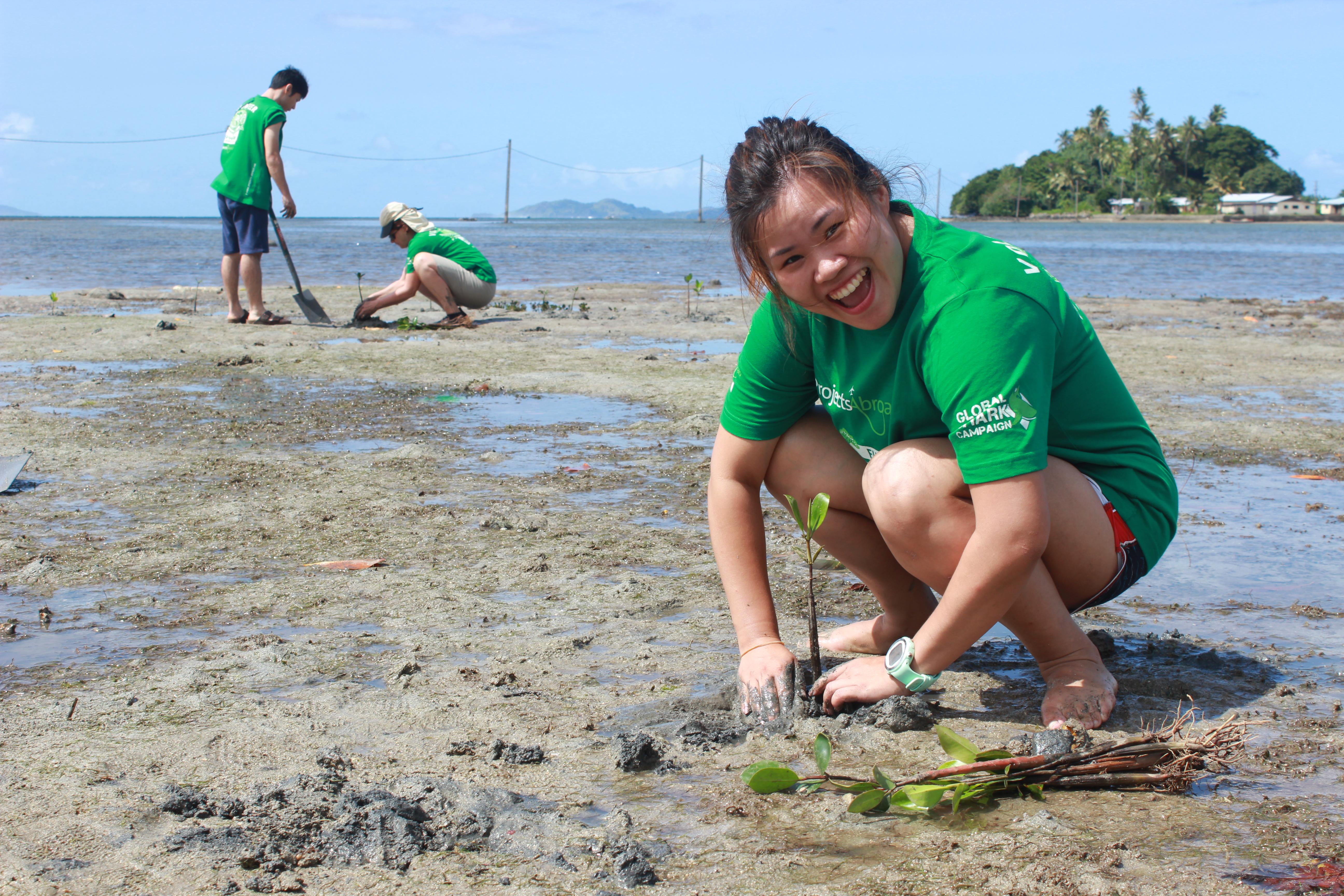 A Projects Abroad volunteer plants mangrove seedlings while doing conservation volunteering abroad. Mangrove seedlings being planted as part of conservation volunteer work abroad.